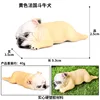 colorful M-1047 French Bulldog