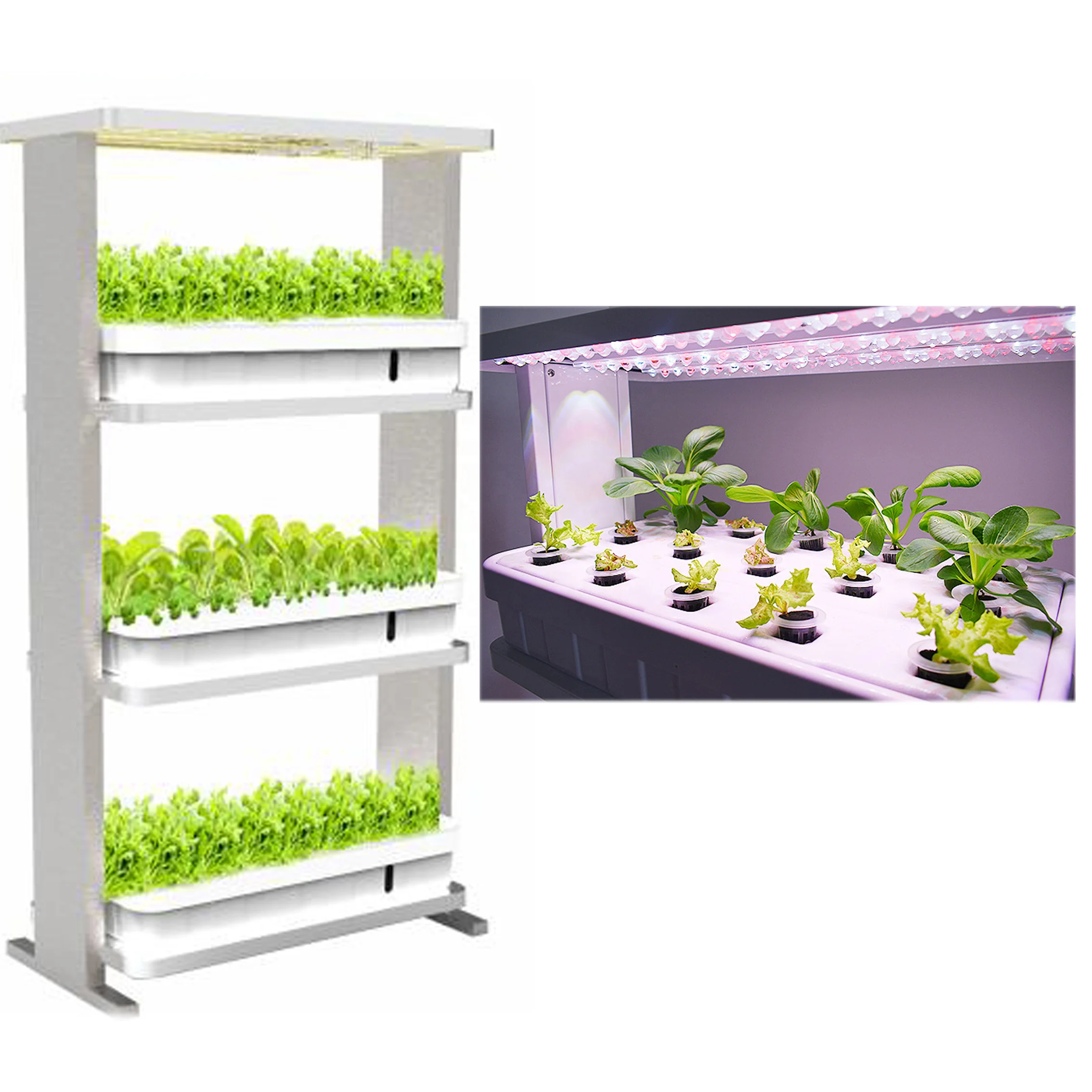 Hydroponic Growing Systems Indoor Vegetable Herbs Led Grow Light Hydroponic Vertical Gardening Kits Buy Hydroponic Kits Vertical Hydroponic System Indoor Vegetable Garden Kit Product On Alibaba Com