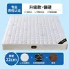 Cashmere anti-collapse spring made of coconut fiber [21cm]
