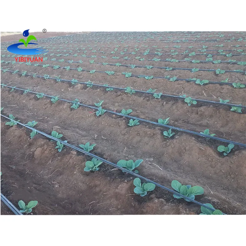 1 Hectare Kit Parts Agricultural Drip Irrigation System Hoses 45cm 0.3mm 8000 m Drip Tape