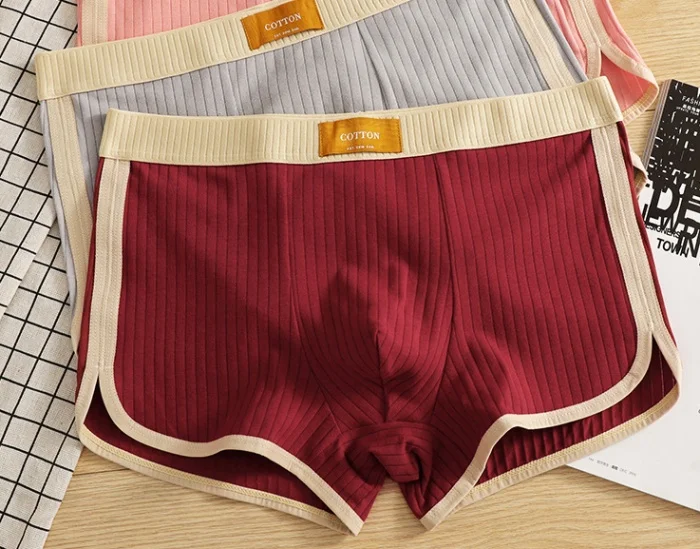 Men's Comfortable Breathable Boxer Briefs Underwear for Spring Summer Autumn Winter