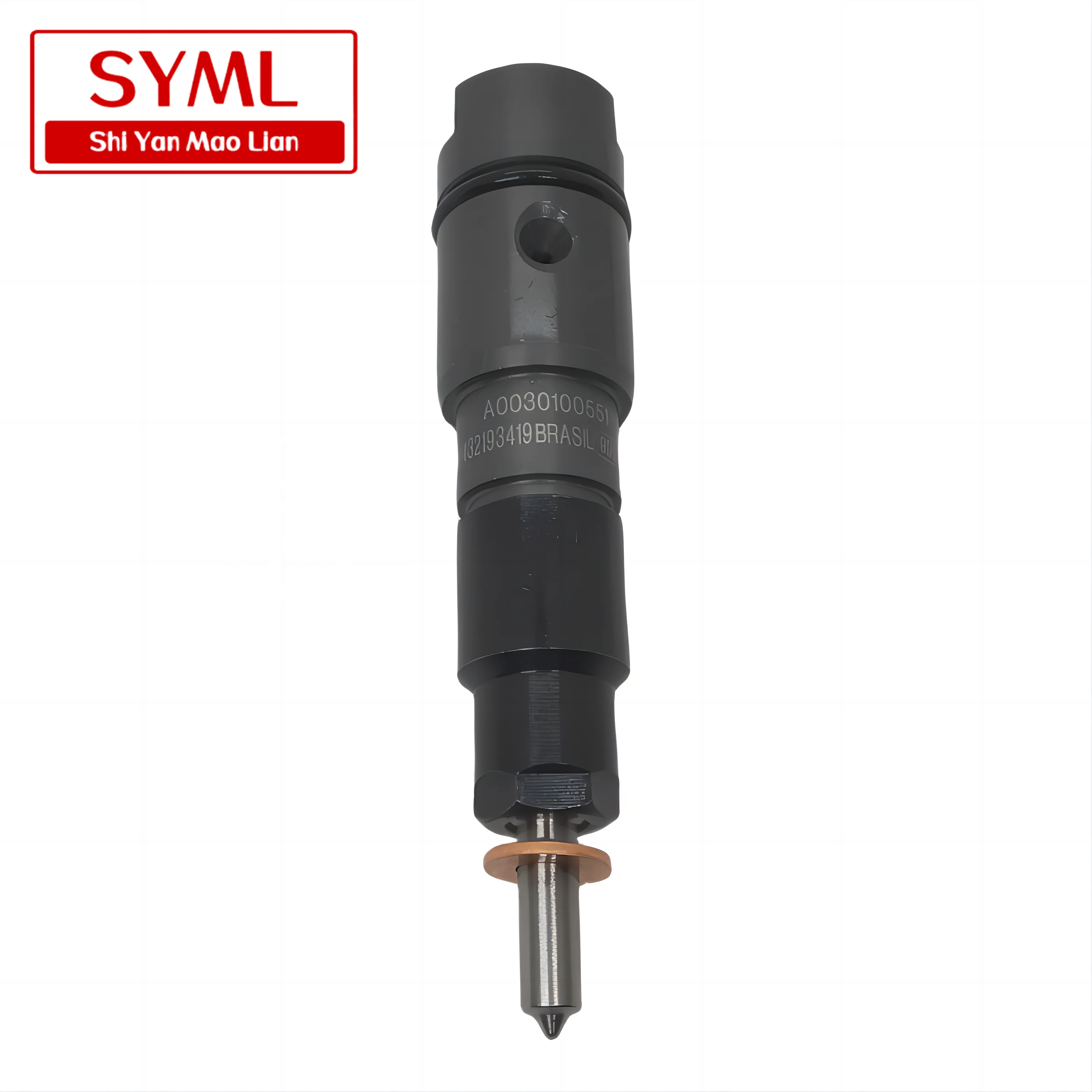 Other Engine Parts Fuel Injector 10116587 For Machinery Engine 
