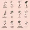 ธันวาคม-HOLLY