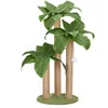 38*38*84cm green three