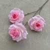 Rosa diamante sin hojas, degradado rosa.
