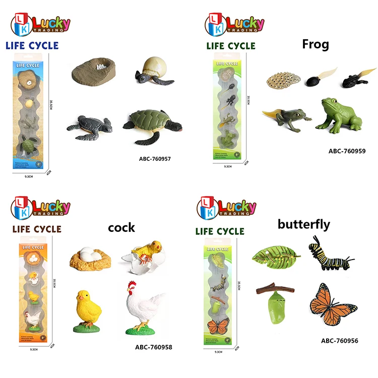 New Arrival Life Cycle Toy Insect Fish Rooster Butterfly Plant Animal Growth Life Cycle