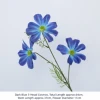 Dark Blue 3-Head Cosmos