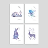 Serie de animales