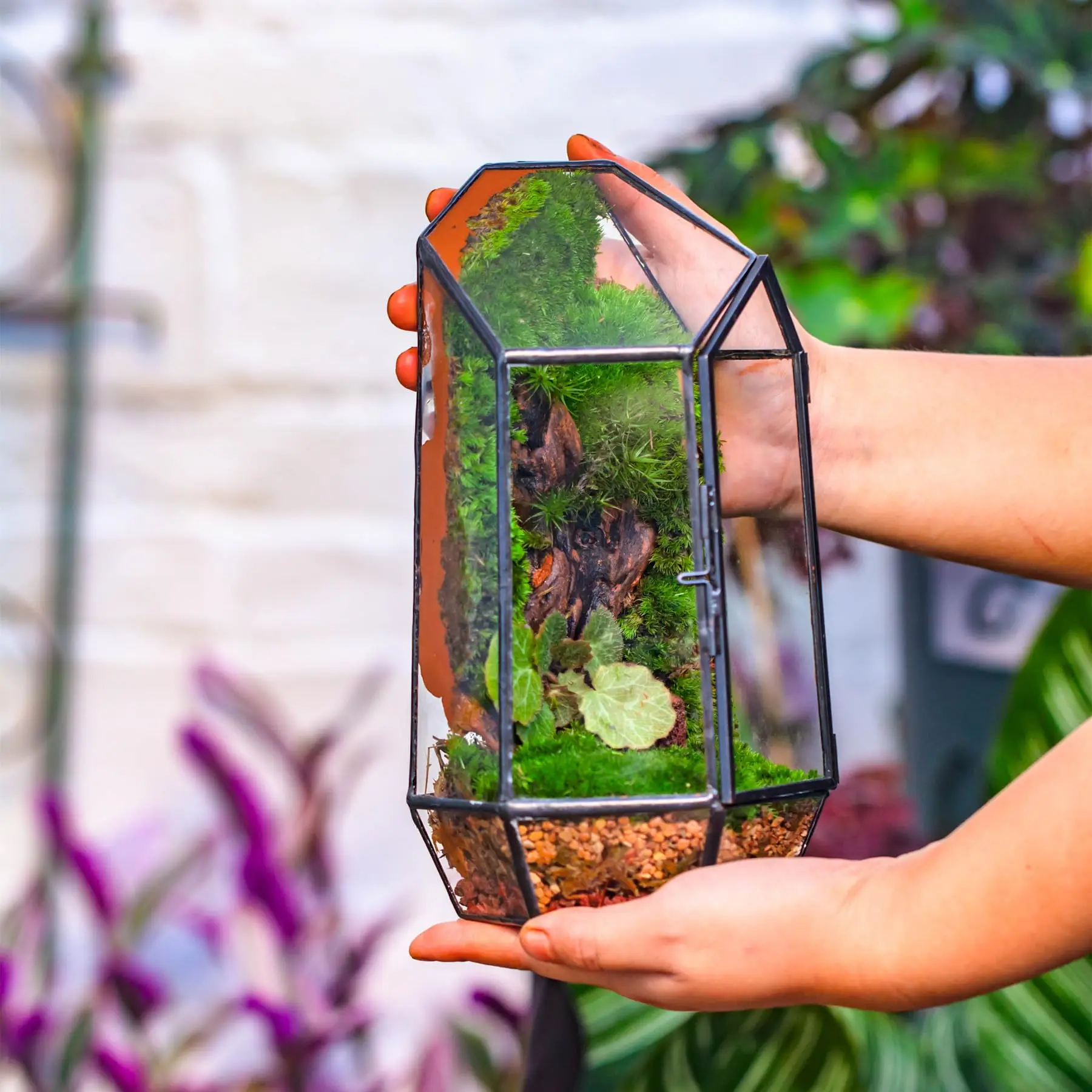 Art Deco-Inspired Table Top Plant Terrarium Wooden Frame Light Bulb Glass Vase Metal Rotating Stand Retro Hydroponics Design