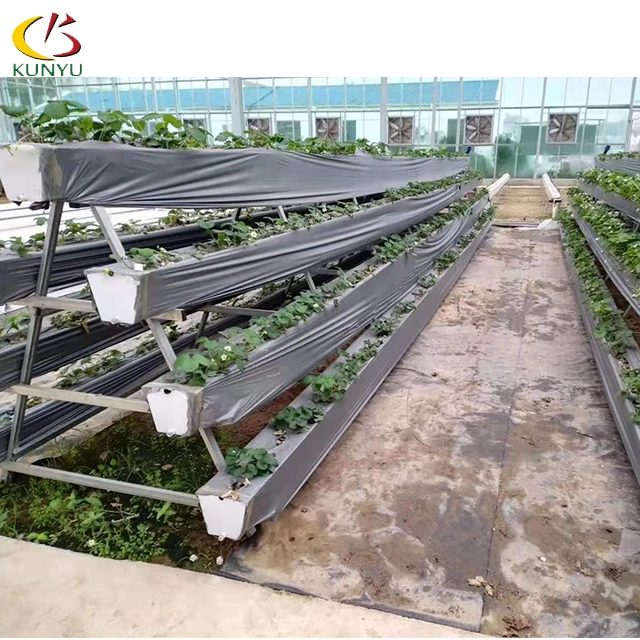 Foshan Kunyu High Efficient Hydroponic Systems Vertical  Greenhouses for Strawberries