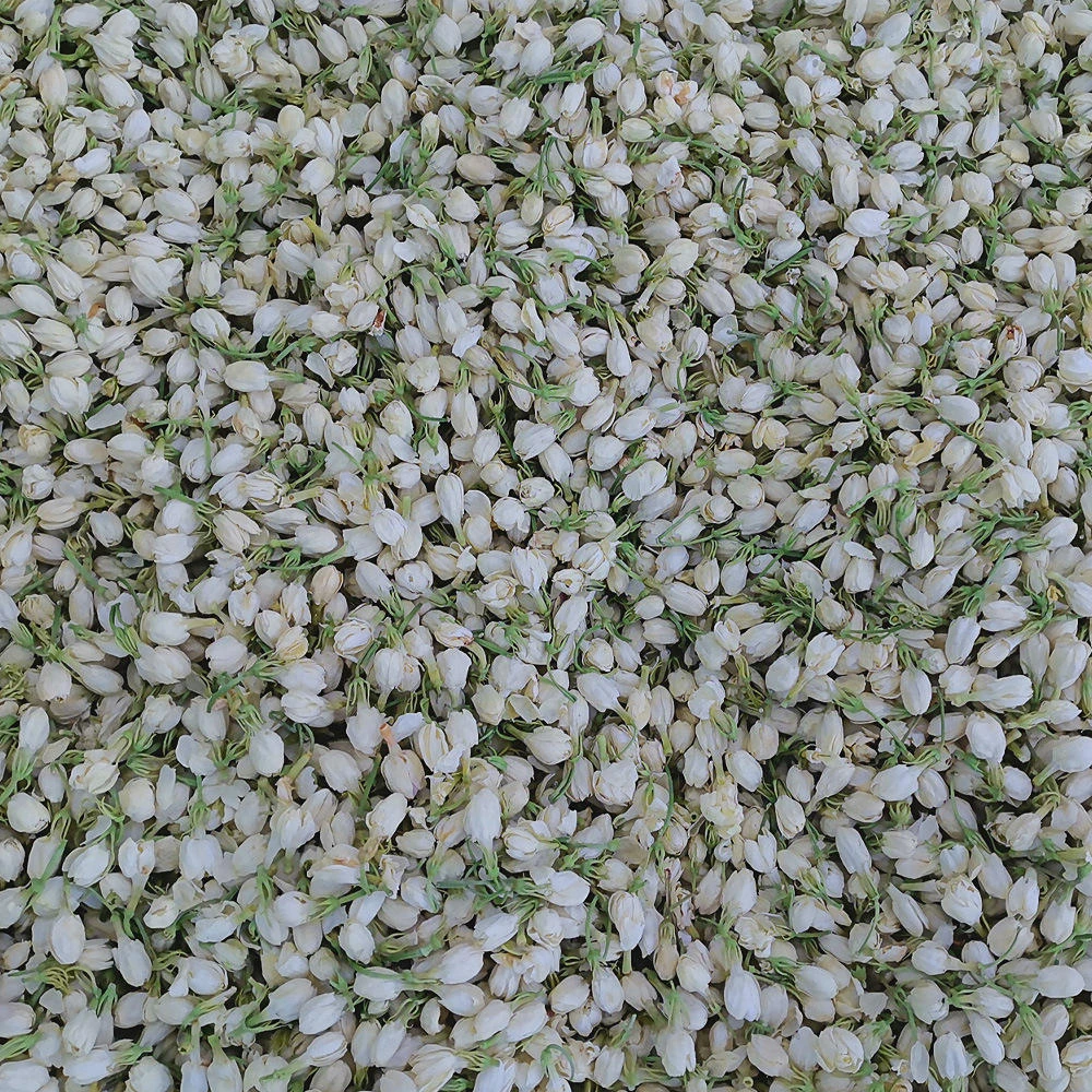 Wholesale Dried Jasmine | Factory Direct Bulk H12061b9e9e844a7ca00756d916f70b78R