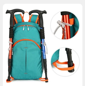 2026 OEM Logo Factory Wholesale Ultra-light Portable Foldable Sports Outdoor Backpack Custom logo Hiking Riding Hiking Backpack