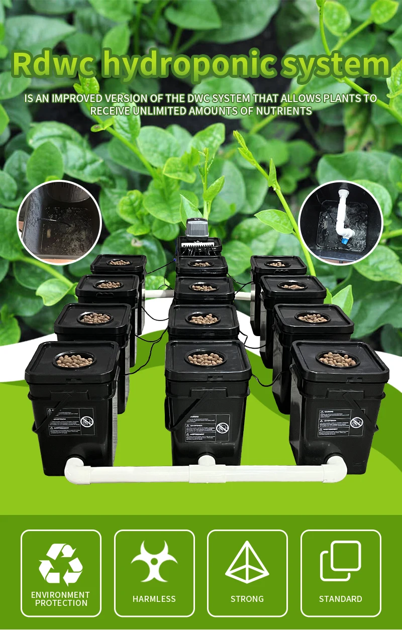 12 Growing Bucket Recirculating Hydroponic System Bucket Hydroponic