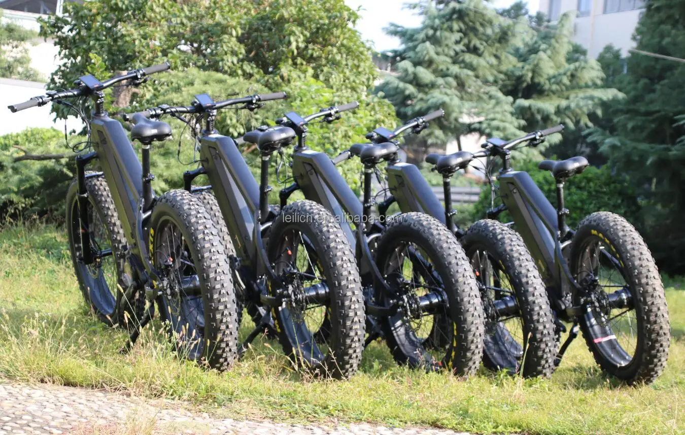 carbon fibre fat bike