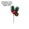 Two-leaf pine needles-three fruits-one pine cone