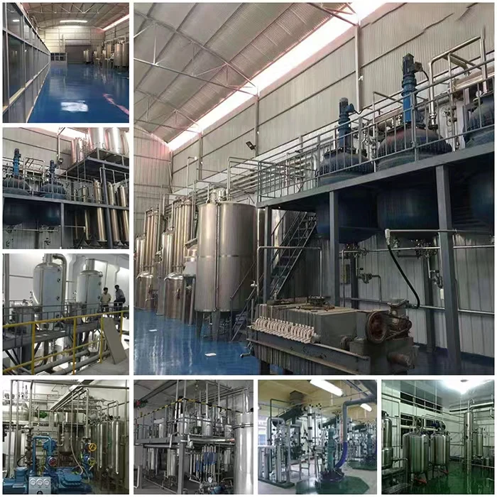 Заводская поставка сублимированные пробиотики Bifidobacterium Longum порошок