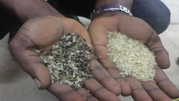 Colour Sorter Machine for Rice Sorting Machine Aso for Recycled Plastic Separator and Grain Colour Sorter
