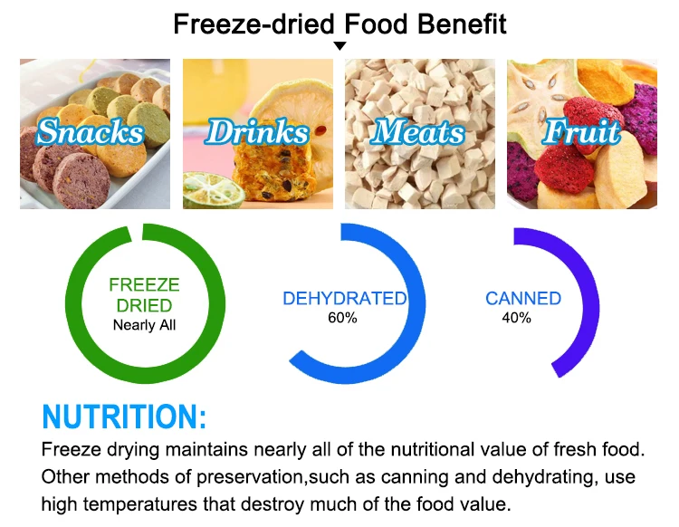 Commercial Fruits And Vegetable Dryer/vacuum Freeze Fruit And Vegetable ...