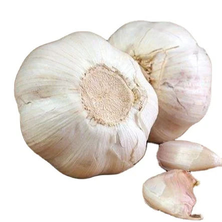 Small Package Chinese Bulk Fresh Natural Purple Garlic Price