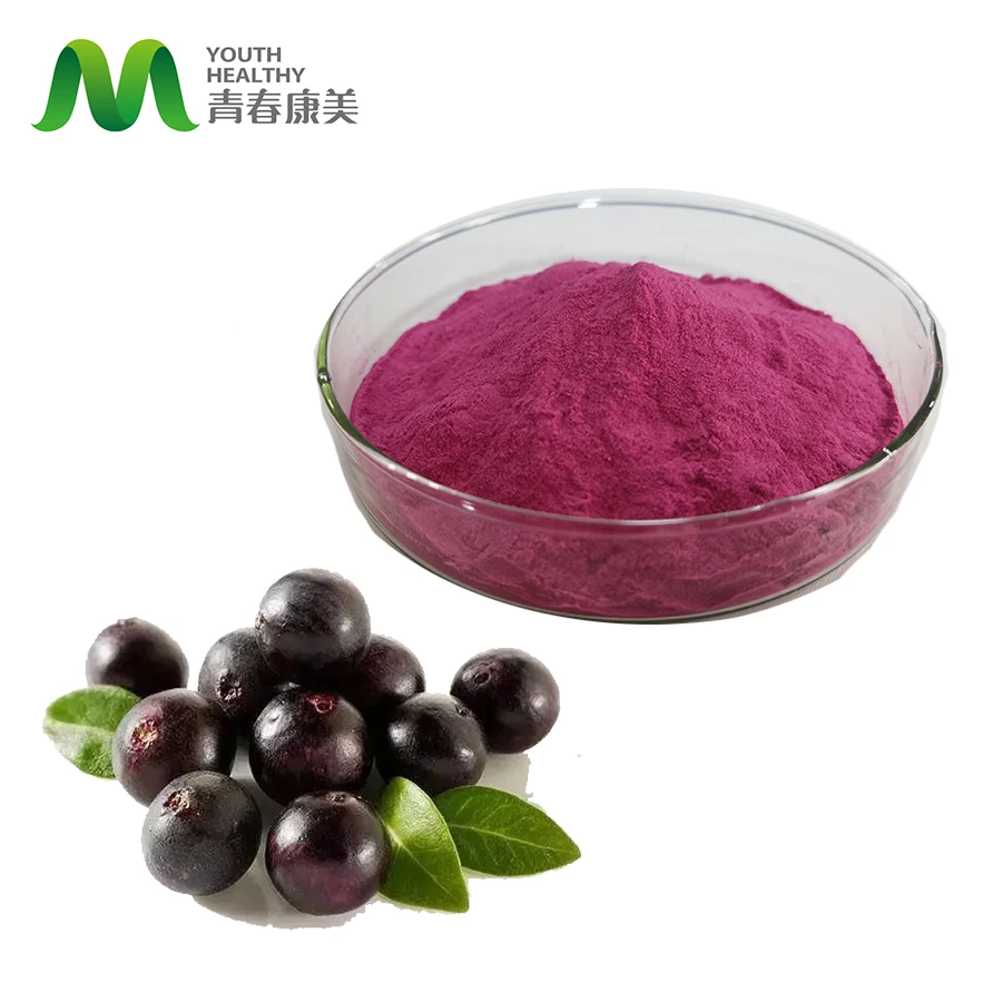 Acai Berry Powder 25-100g, Fruit Powders, Smoothies