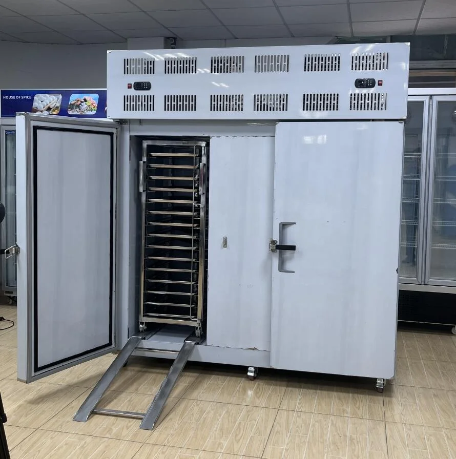 IQF Freezing Tunnel Low Deep Freezer Commercial Industrial Upright Blast Chillers and Shock Freezers