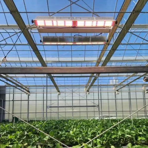 Dimmable Control Lm281b Lm301b Chips Full Spectrum Bars Plant System Veg Flower Stages 800w 600w IP65 Led Grow Light Strip details