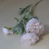 ice pink