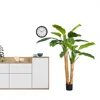 green 150cm double pole