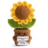 Yellow big sunflower