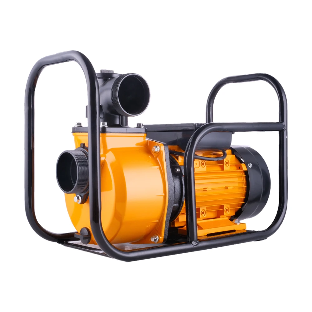 2 Inches 220V-380V Electric Motors Pump Portable Farm Machinery Electric Motor With Pump