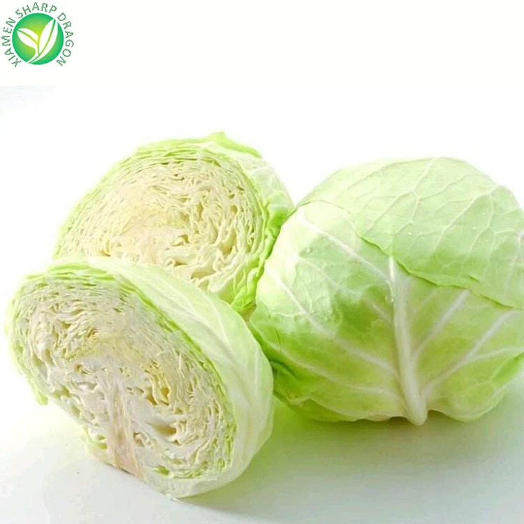 Wholesale Green Nature Chinese Cabbage Seed Fresh Frozen EDIBLE SD 10 Kg GMO-Free Leaf Dice Sliced Chunk Diced Block Cubes