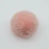 12.Rose pêche