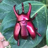 Red Beetle [P-cover Packaging]