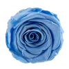 PU ciel