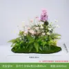 Flower Baby 04