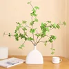 Vase plat avec deux morceaux de Pieris japonica