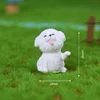 Oso Bichón.- lindo perro
