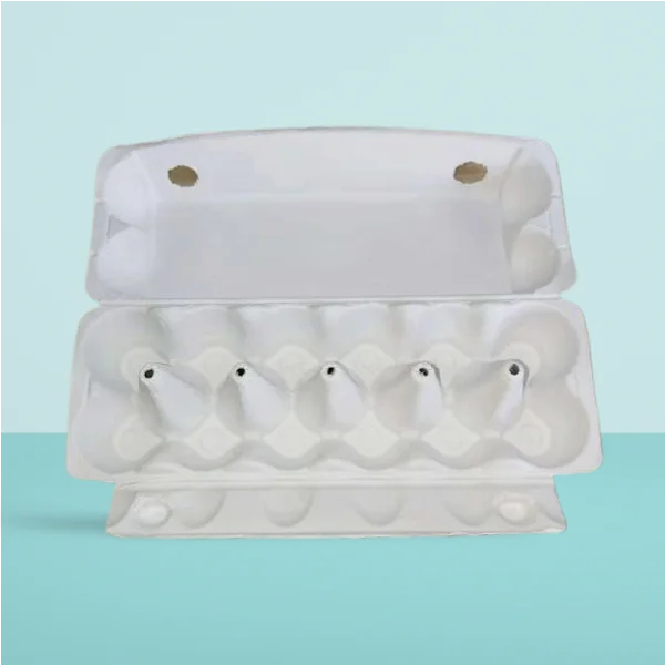 Compostable Labelling Dozen Recycled Paper Pulp Molded Egg Carton