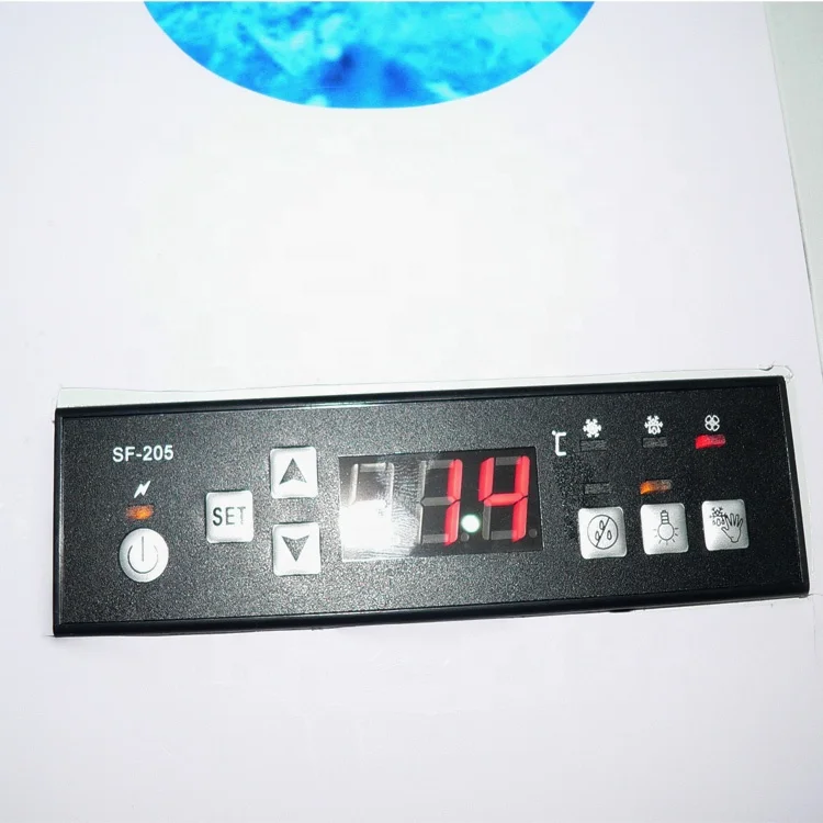 Fan Cooling 2 Glass Doors Display Ice Merchandisers Indoor Ice Cooling Bin Refrigerator Ice Bag Storage Freezer