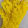 Gold yellow