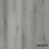 CN2839