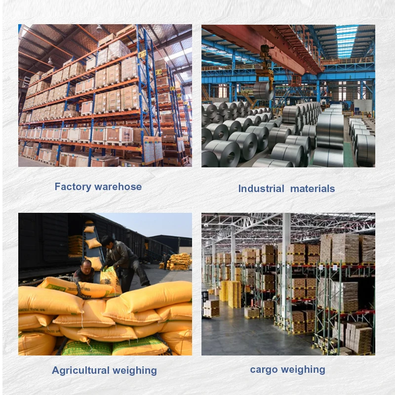 FS-JB 1.2*1.2m Industrial Floor Scales for Livestock and Agricultural Products OEM & ODM Supported