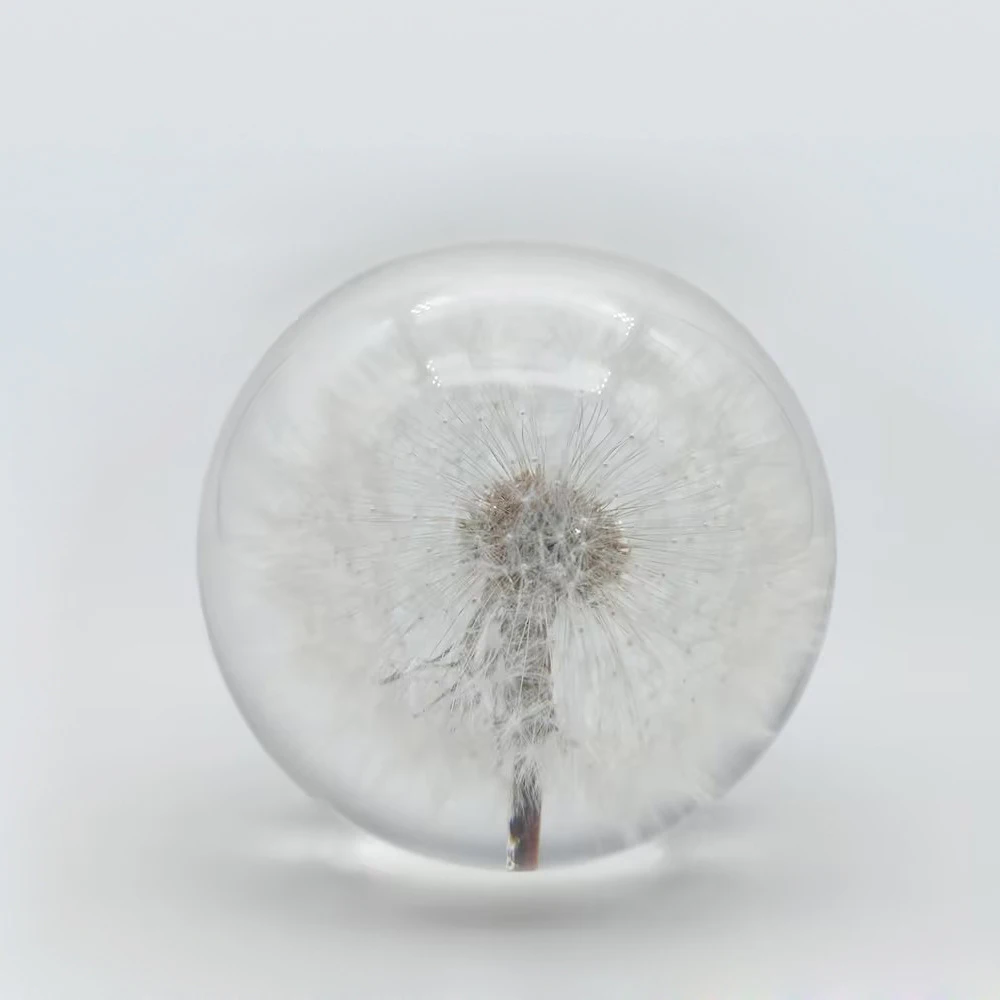 Custom Embedded Real Dandelion Resin Ball Epoxy Resin Craft Flower Decoration Plant Ornament Paperweight Glass Crystal Ball Gift