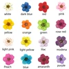 16 colors for choose