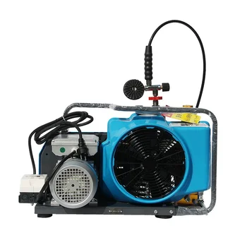 DMC Gas 4 strokes gasoline engine underwater breathing air diving compressor 300bar for sale triplex cartridge