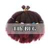 T1B/bug