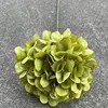 2 # grande tête unique américain hortensia-vert