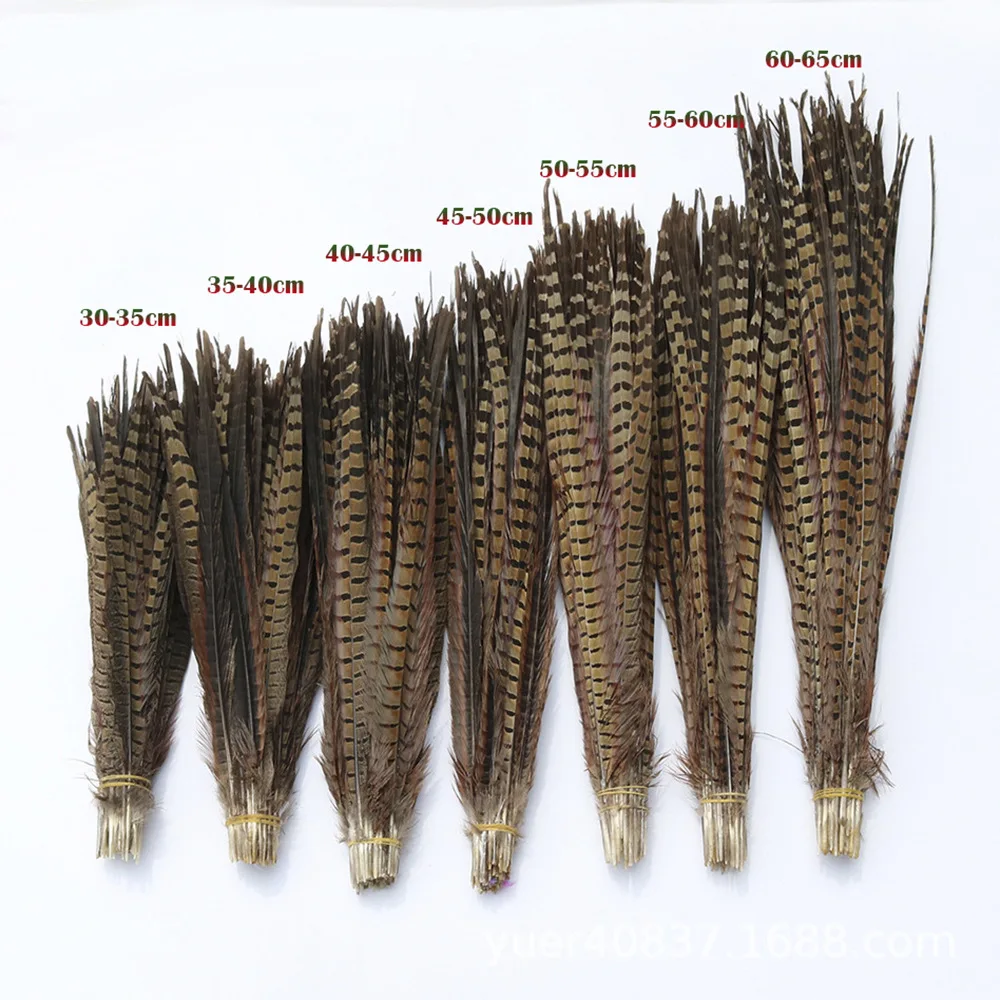 Natural Lady Amherst Pheasant Feathers for Crafts 40-44 100