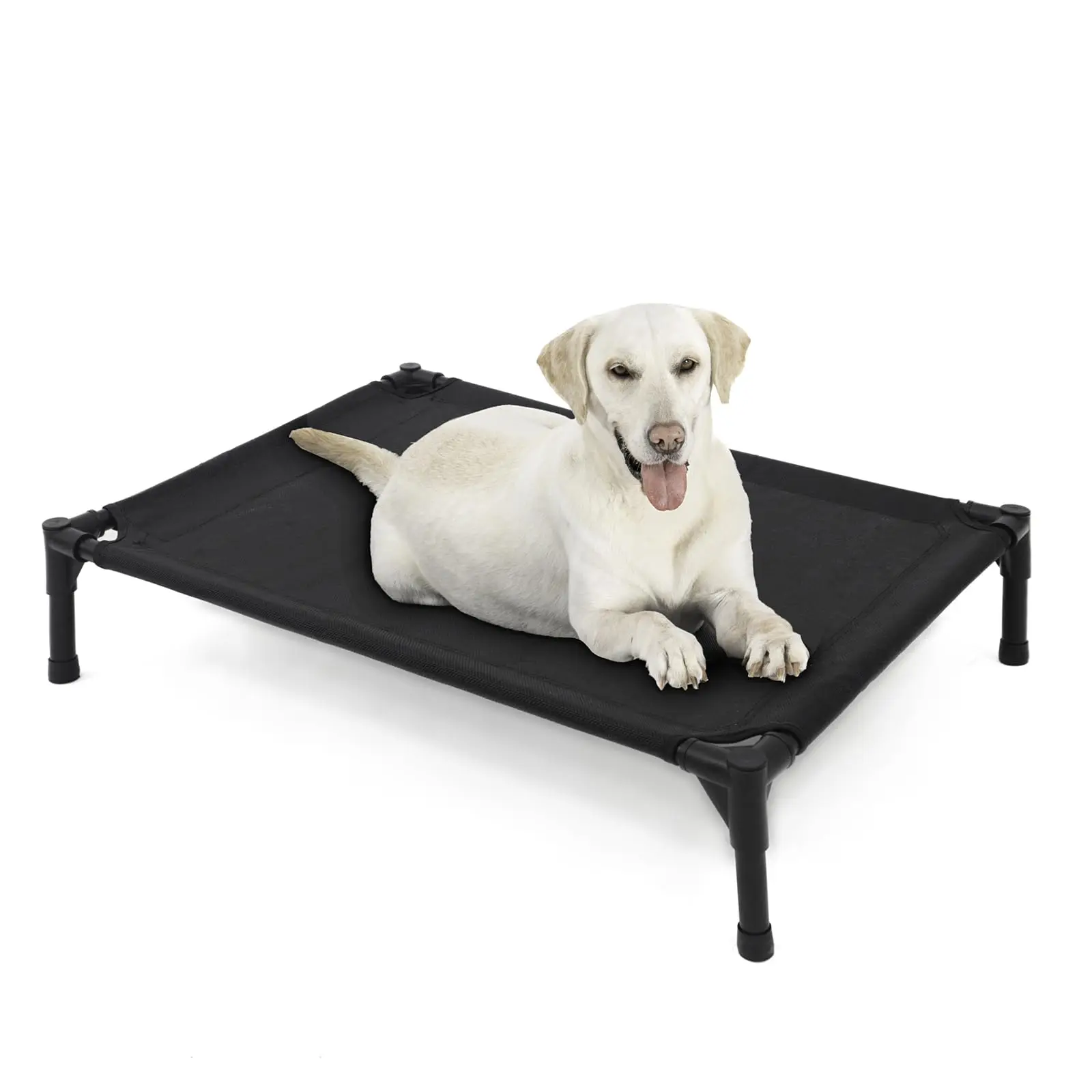 Elevated Dog Bed for Large Dogs Durable Comfortable
