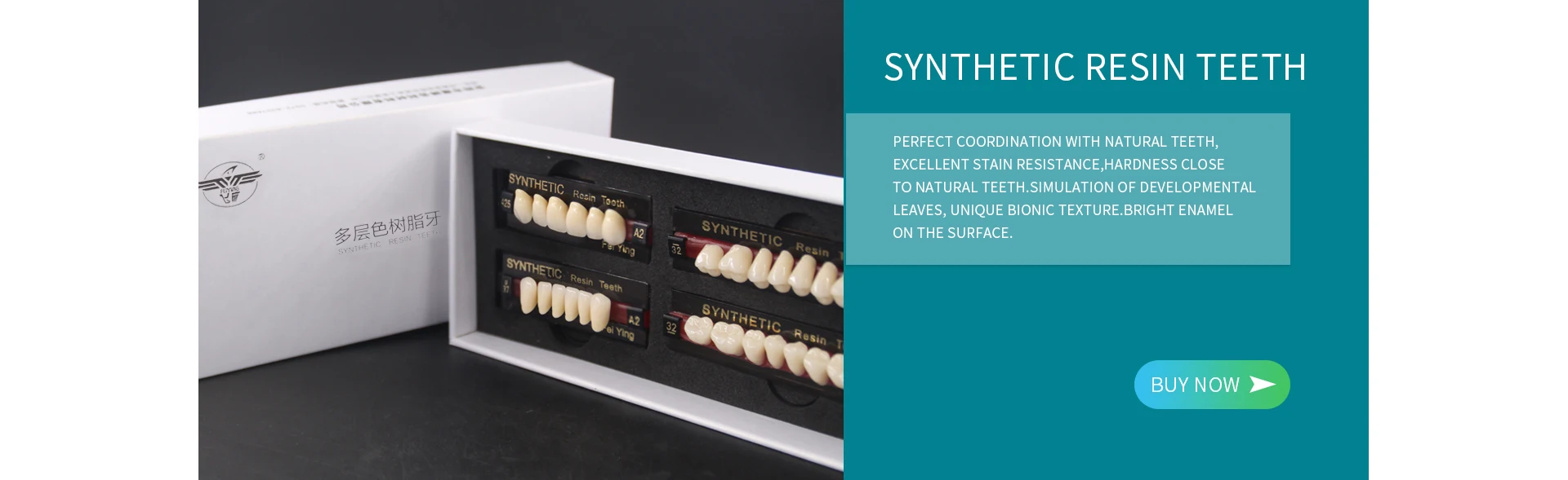 Anyang Yingpai Dental Material Co.,ltd. Resin Teeth, Dental Material